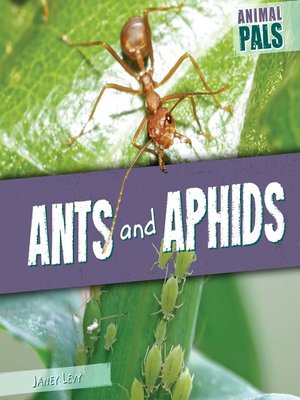 cover image of Ants and Aphids